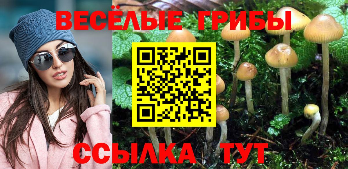 Псилоцибиновые грибы мицелий  Вход с VPN  Клин 